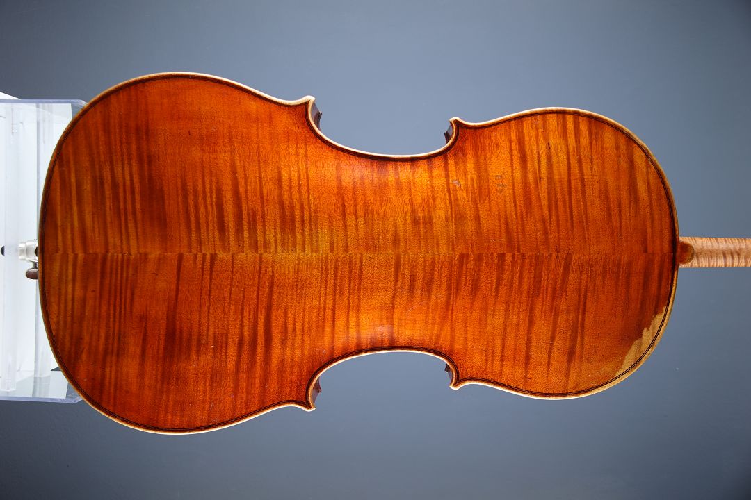 Gläsel Edmund - Markneukirchen um 1900 - C-363